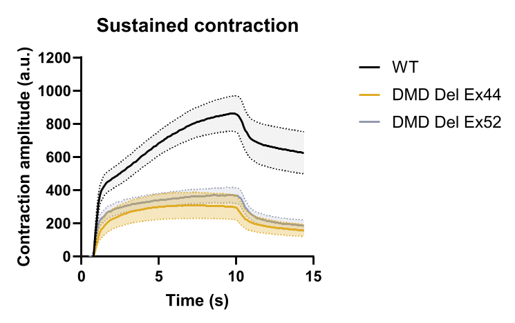 WT vs DMD D14 Fatigue time course (1)